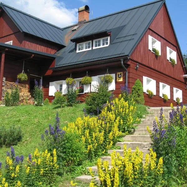 Horský Penzion Černava, Hotel in Horní Malá Úpa