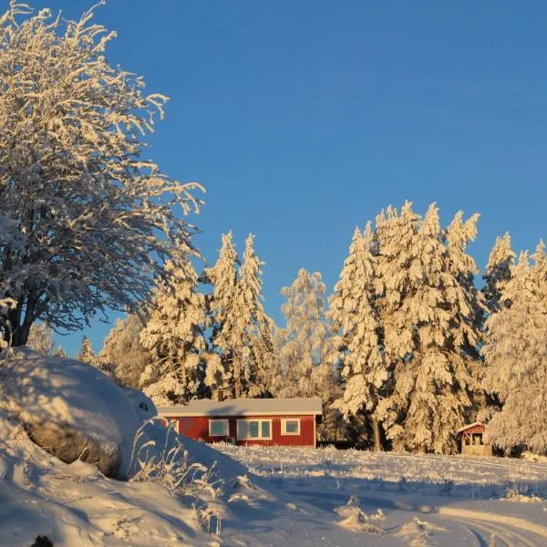 兔子出沒農家樂，科林基拉的飯店
