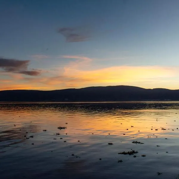 Casa Palomas Bed and Breakfast, ξενοδοχείο σε San Juan Cosala