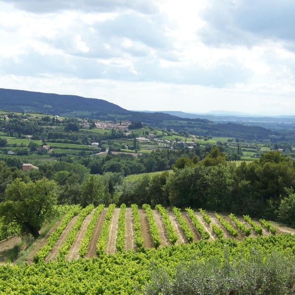 Gîte en provence au coeur des vignes