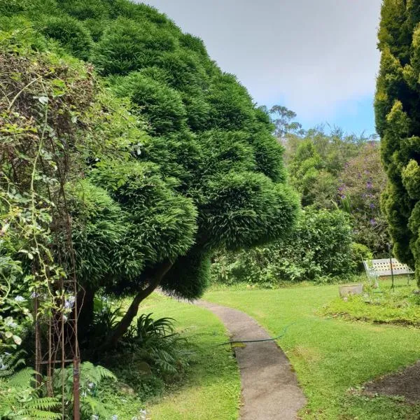 English Gardens - Forest Spa Suite, Hotel in Springbrook