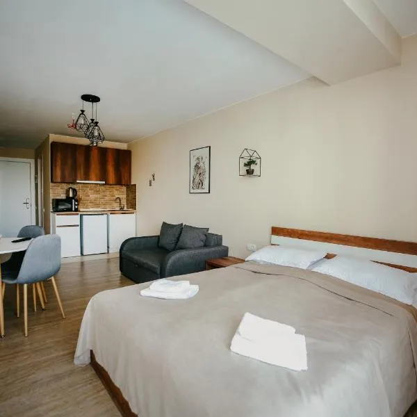 Maisako's New Gudauri Apartment，位于古多里的酒店