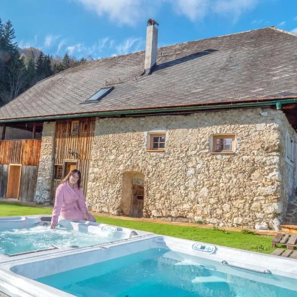 Obiralmhütte Mosgan, hotel din Bad Eisenkappel