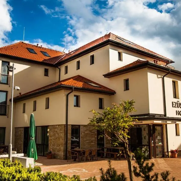 Ezüsthíd Hotel, hotel v destinaci Veszprém