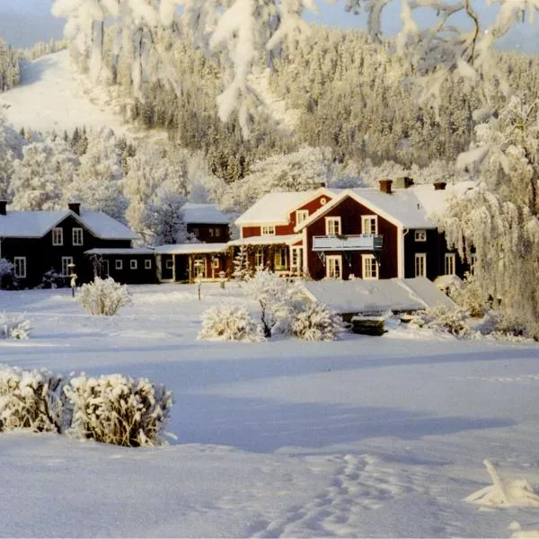 Järvsöbaden, hotel in Järvsö