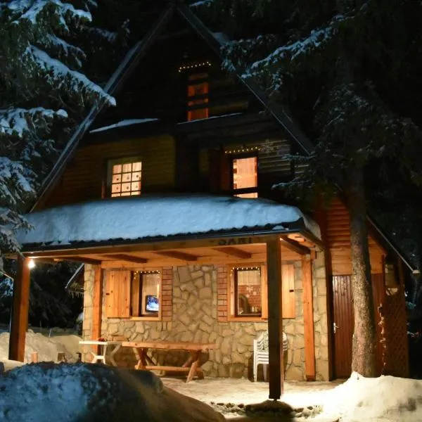 Apartman Sani, ξενοδοχείο σε Vlasic