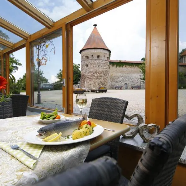 Gasthof Zur Burg, ξενοδοχείο σε Hohenberg an der Eger