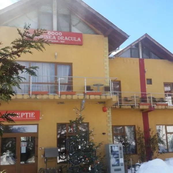 Pensiunea Dracula & Spa, hotel in Căpăţîneni-Ungureni