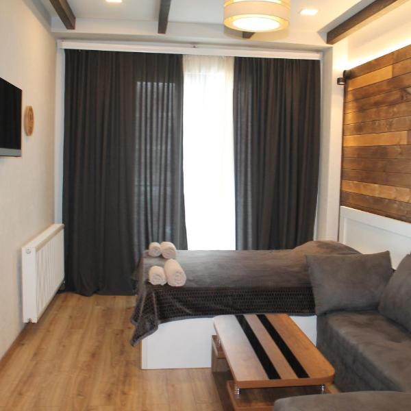 Cozy Apartment Near Gondola loft1
