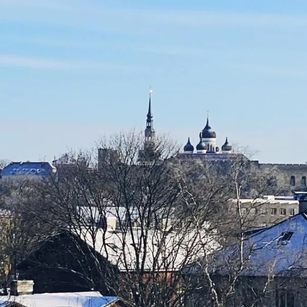 M/S Factory Apartments, hotell Tallinnas