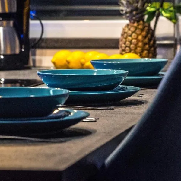 Apartament w Cieplicach Perfekt، فندق في يلينيا غورا