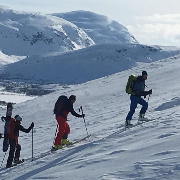 Lapphaugen Turiststasjon