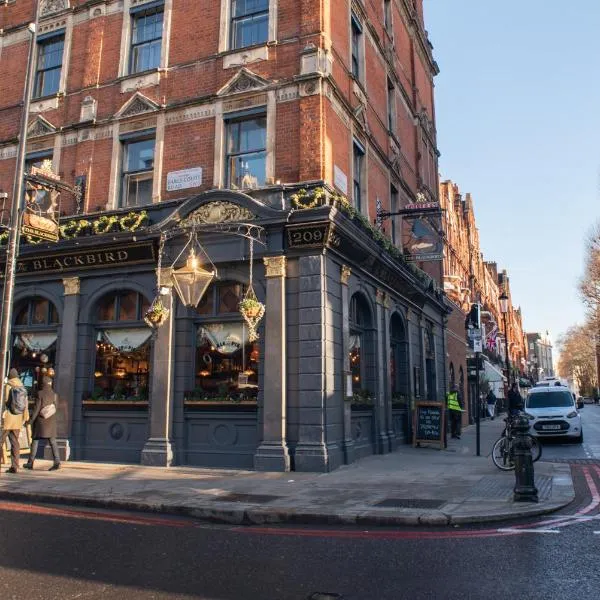 Blackbird, hotel in London