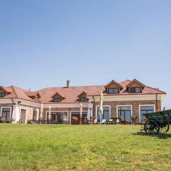 St Peter Vini, hotel in Svätý Peter