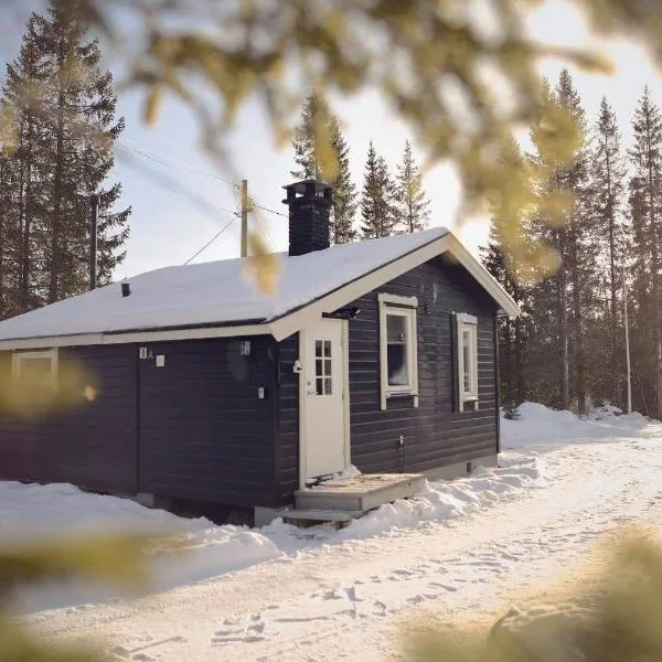 Koselig Hytte i Hemsedal、ヘムセダールのホテル