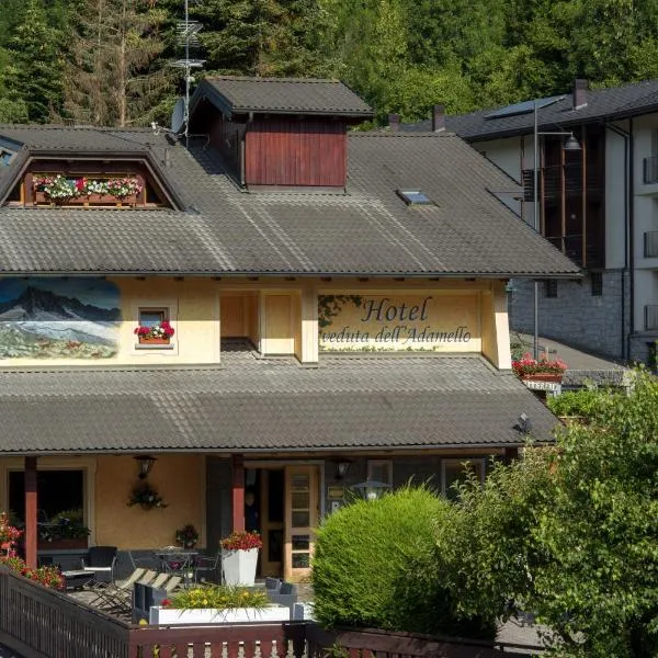 Hotel Veduta dell'Adamello, отель в городе Тему