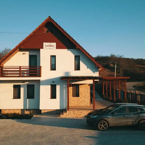 Pensiunea Agroturistica Havanna、ザラウのホテル
