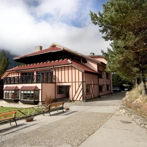 Hotel Temenuga, hotel in Panichishte