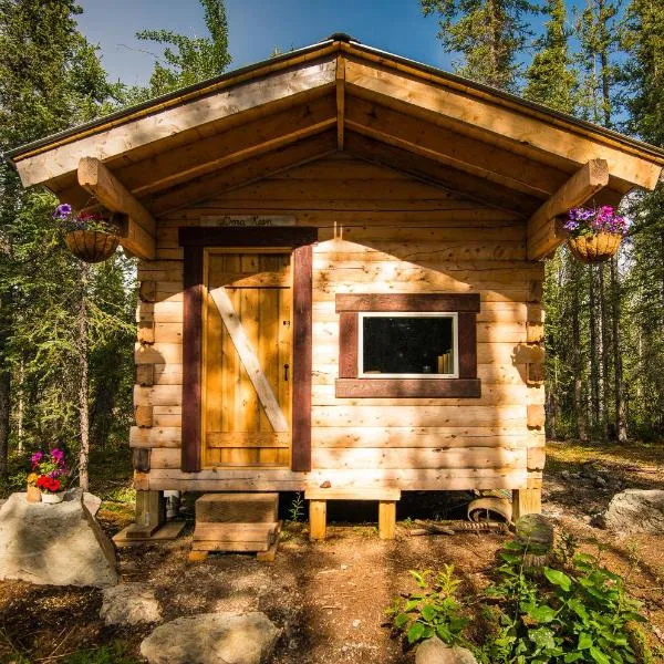 Blackburn Cabins - McCarthy, Alaska, hotel in McCarthy