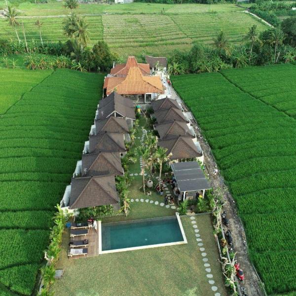 Villa Alisha Pererenan Canggu