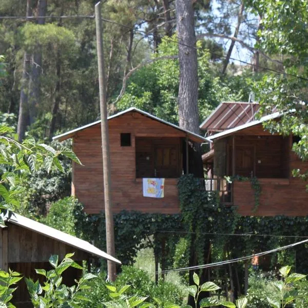 Olympos Camlık Pension, hotel v destinaci Olympos