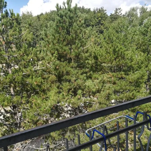 Da Santina, ξενοδοχείο σε Pieve Santo Stefano