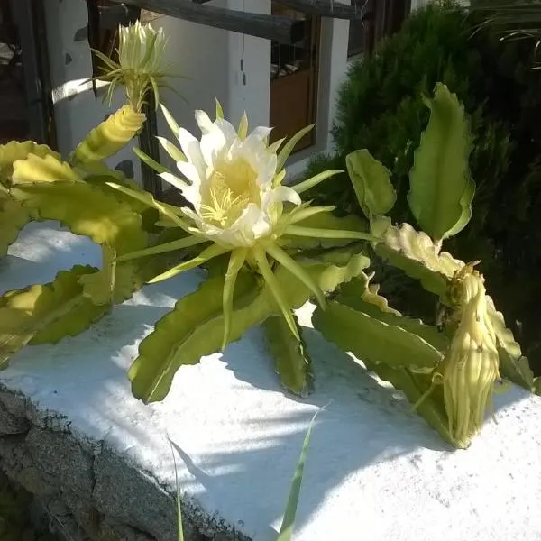 Sourmeli Garden Hotel , ξενοδοχείο στη Μύκονο Χώρα