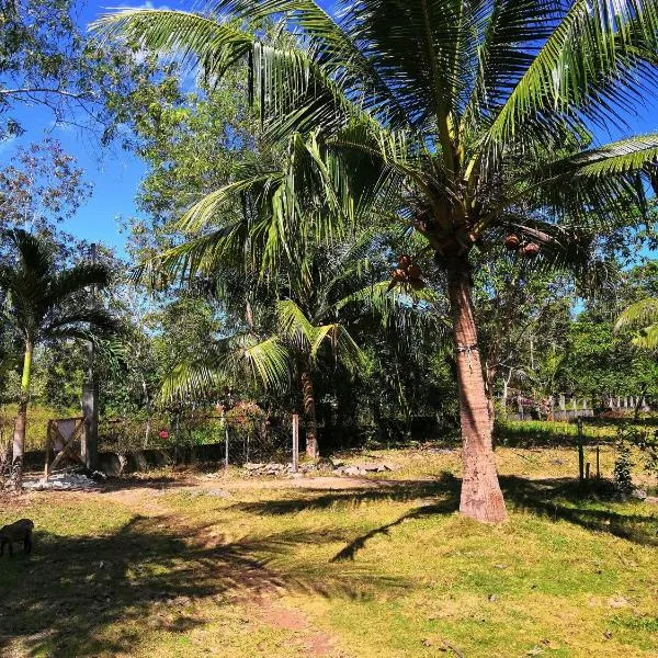 Walkerz Inn, hotel en Panglao