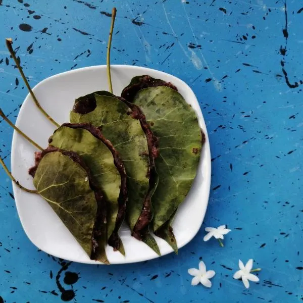 Viveka Inn Guest and Yala Safari, hotel in Tissamaharama