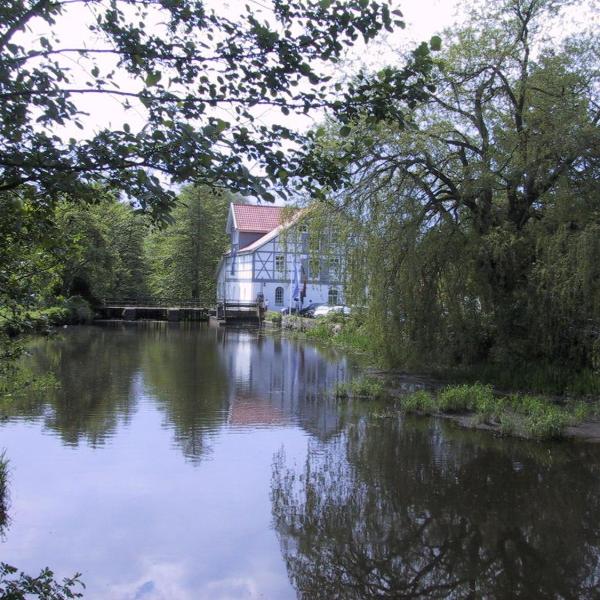 Mühlenteich in der Oldenstädter Wassermühle