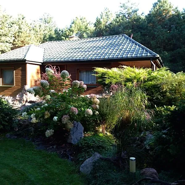 Uroczysko Ludwinowo na Podlasiu, hotel in Łuka