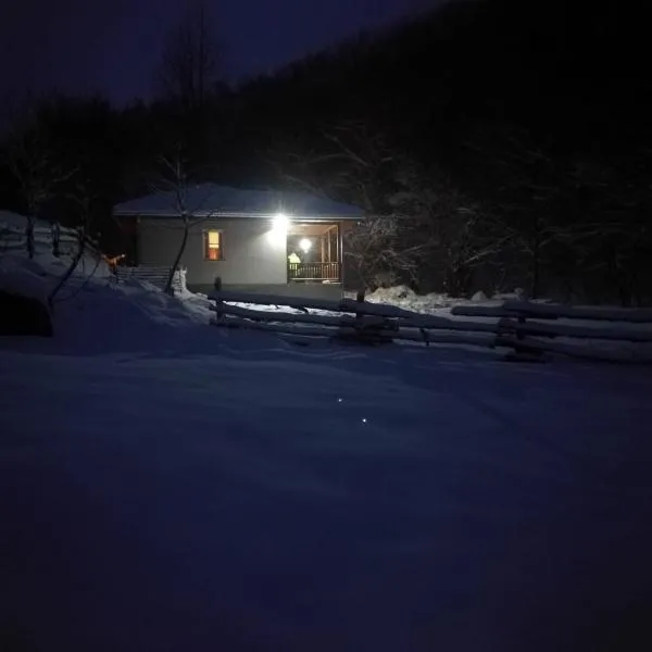 Vila Idila，位于Crni Vrh的酒店