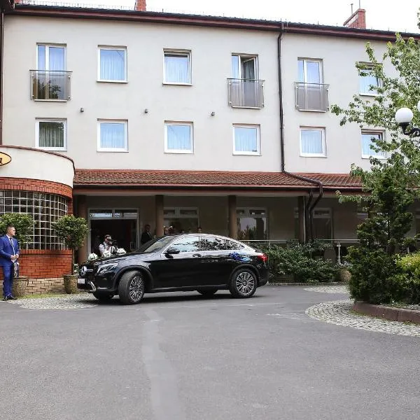Restauracja Hotel VIP, hotel v destinaci Działoszyn