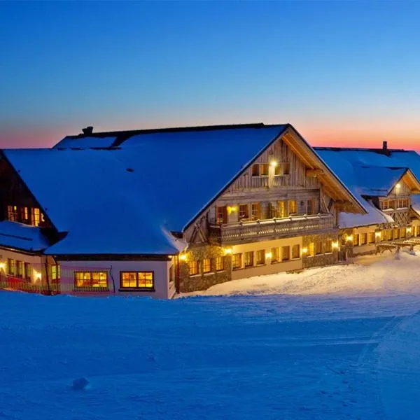 Alpska perla Apartments, hotel in Cerkno