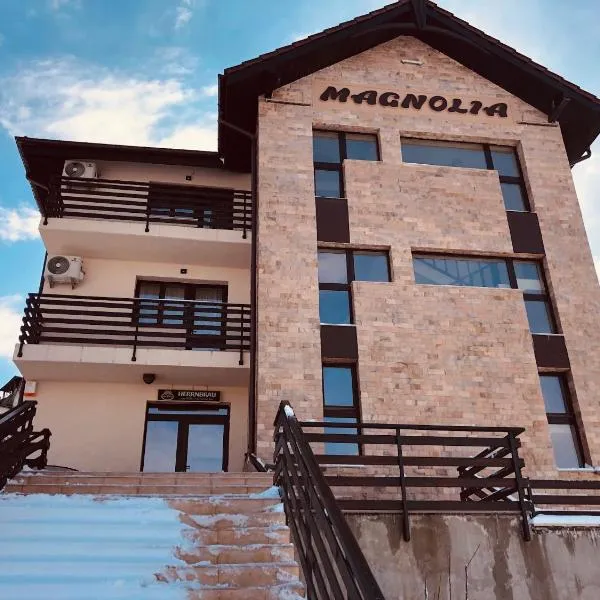 Pensiunea Magnolia, hotel v destinaci Craiova