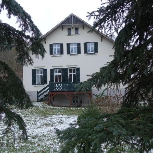 Pension Gräfliche Villa, hotel en Reitwein