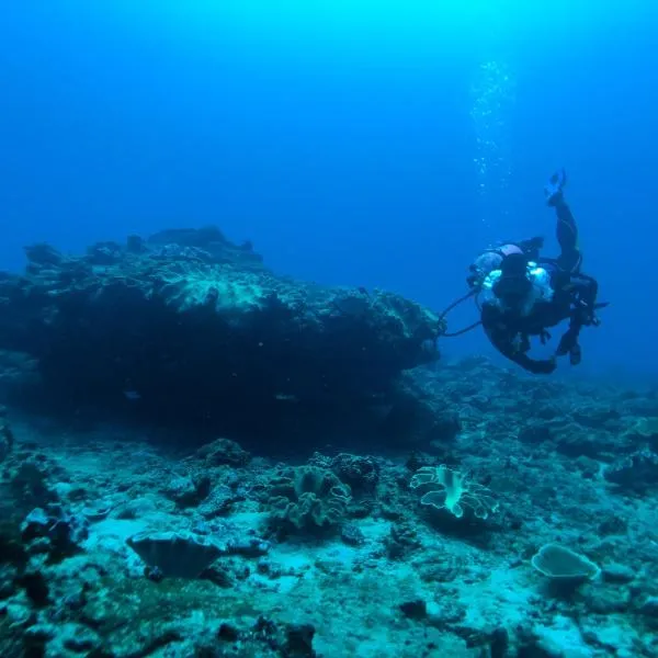 Sumba Adventure Resort, hotel in Baing