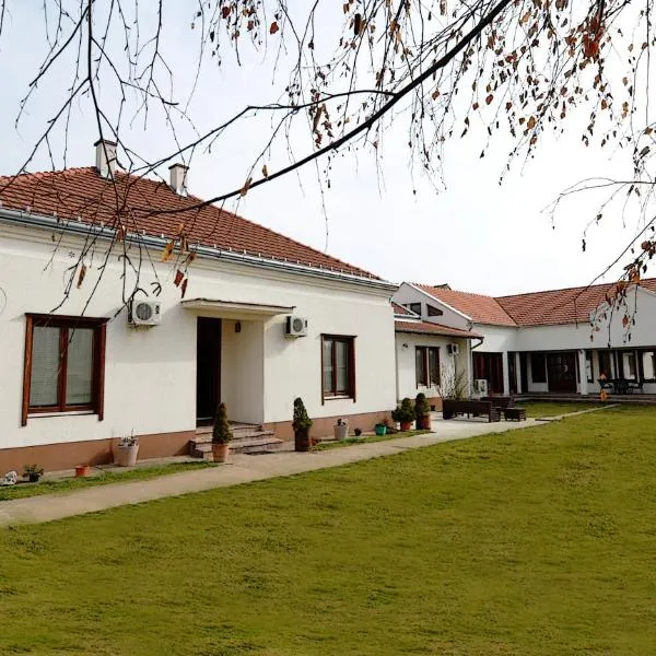 Mladenovic apartments, hotel sa Kladovo