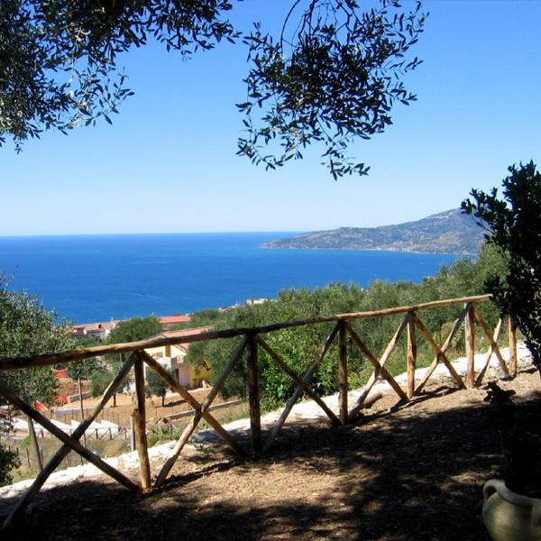 Agriturismo La Focazza