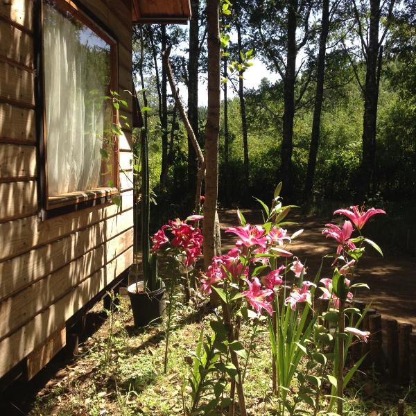 Eco-Cabañas Quetroleufu