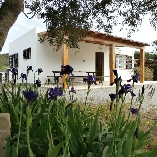 Sa Vinya Casa de Campo, Hotel in Es Cubells