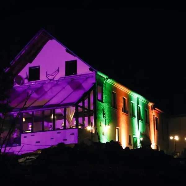 Hotel Feldmaus, hotel in Olzheim