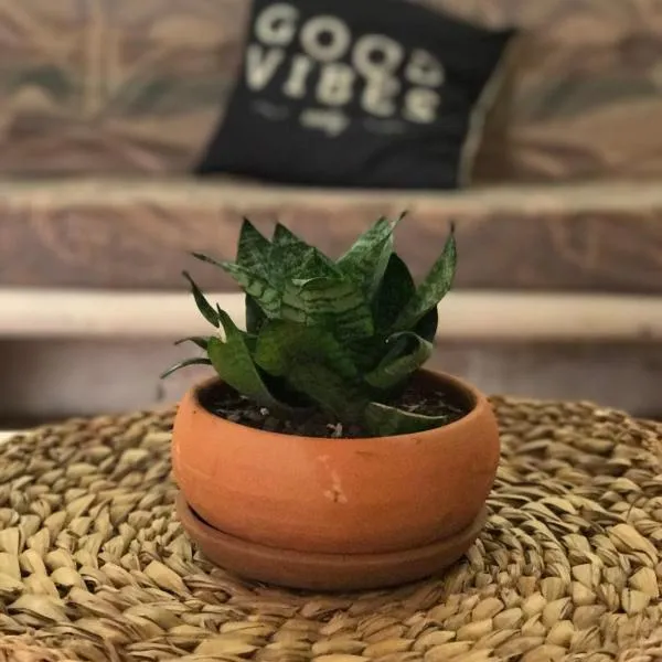 Apartamento Bizantino, hotel in Cozumel