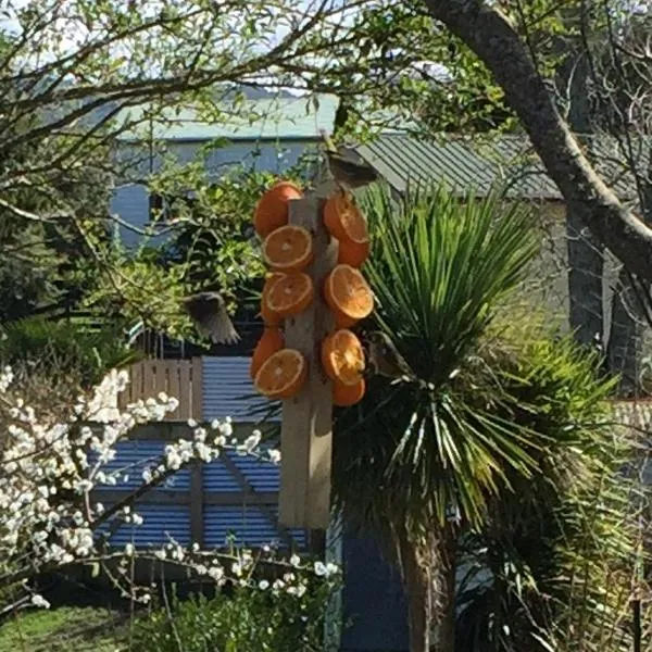 Union Street Hideaway、ワイヒのホテル