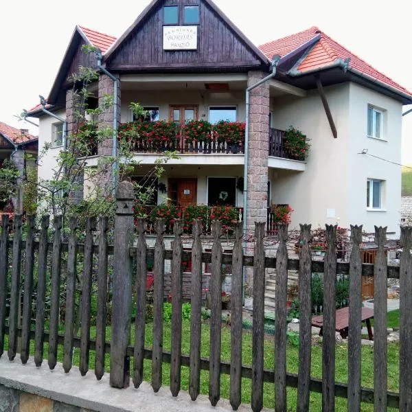 PENSIUNEA BORDÁS PANZIÓ, hotel in Sfântu-Gheorghe