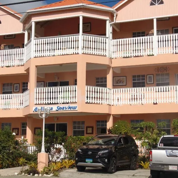 Antigua Seaview, hotel in Saint Johnʼs