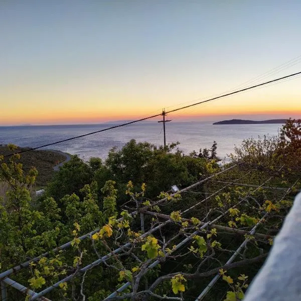 Silver view: Batsi şehrinde bir otel