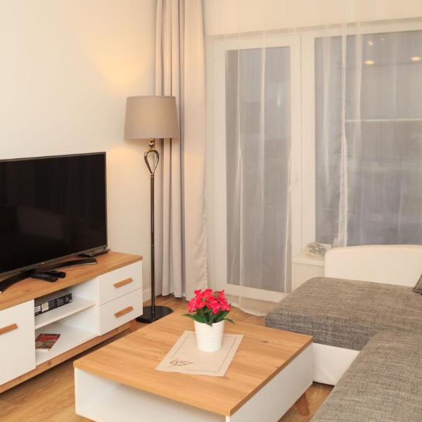 VIP apartaments - Zalgirio 96