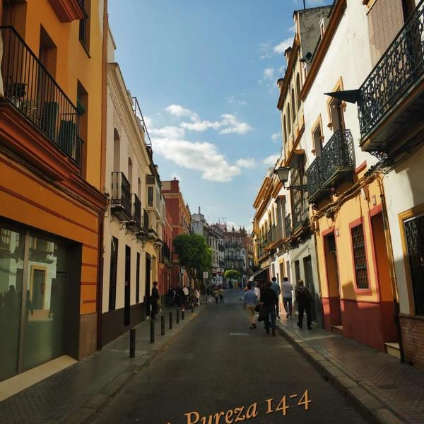 TRIANA PUREZA 12-14