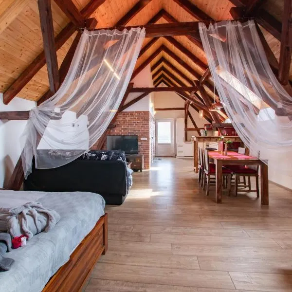 Penzion Na barokní cestě Wellness & Spa, hotel in Plasy